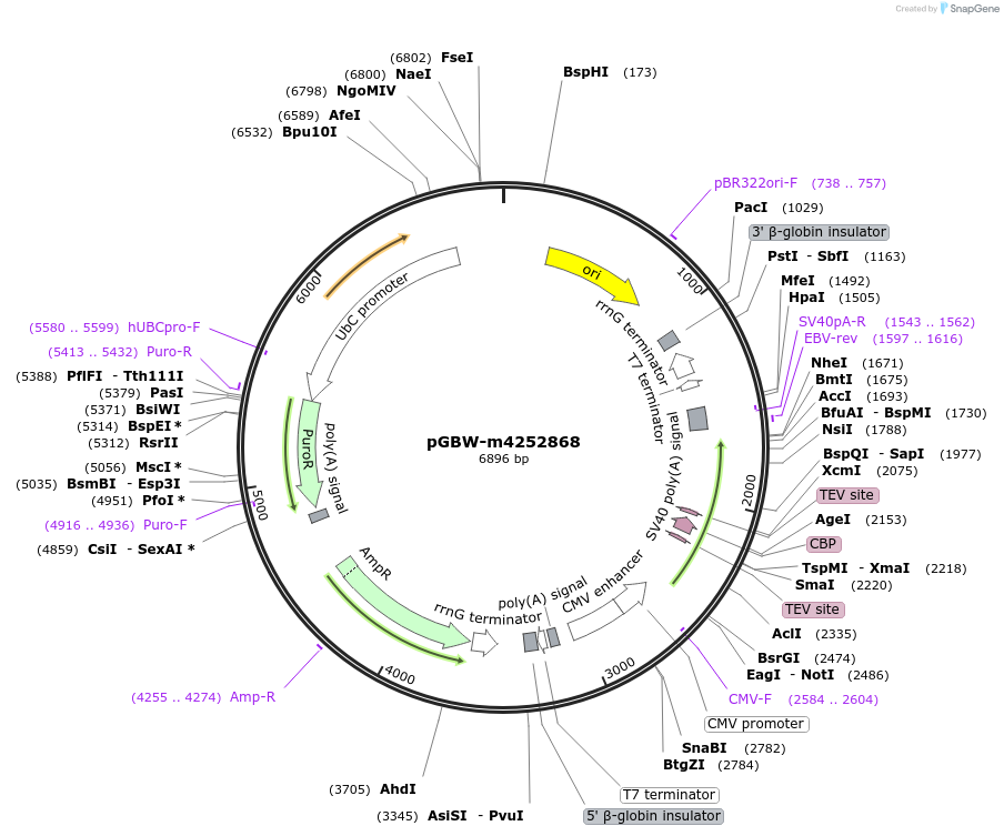300602_map