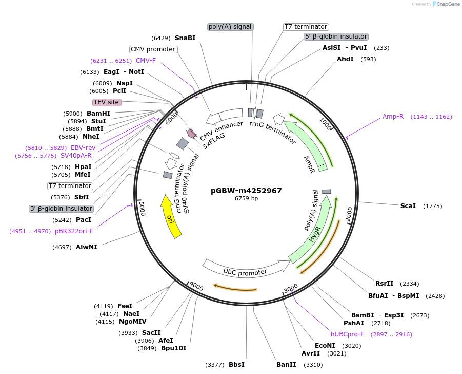 300603_map