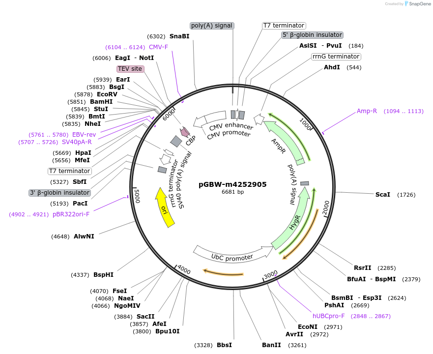300612_map