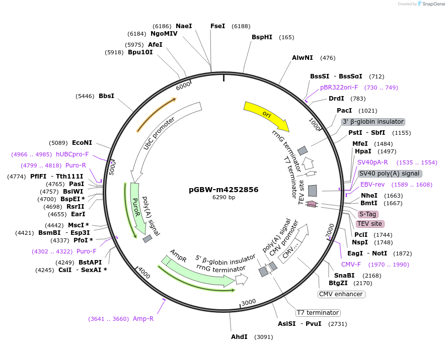300614_map