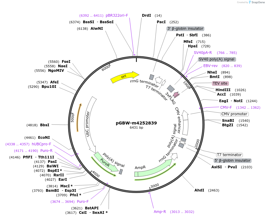 300620_map