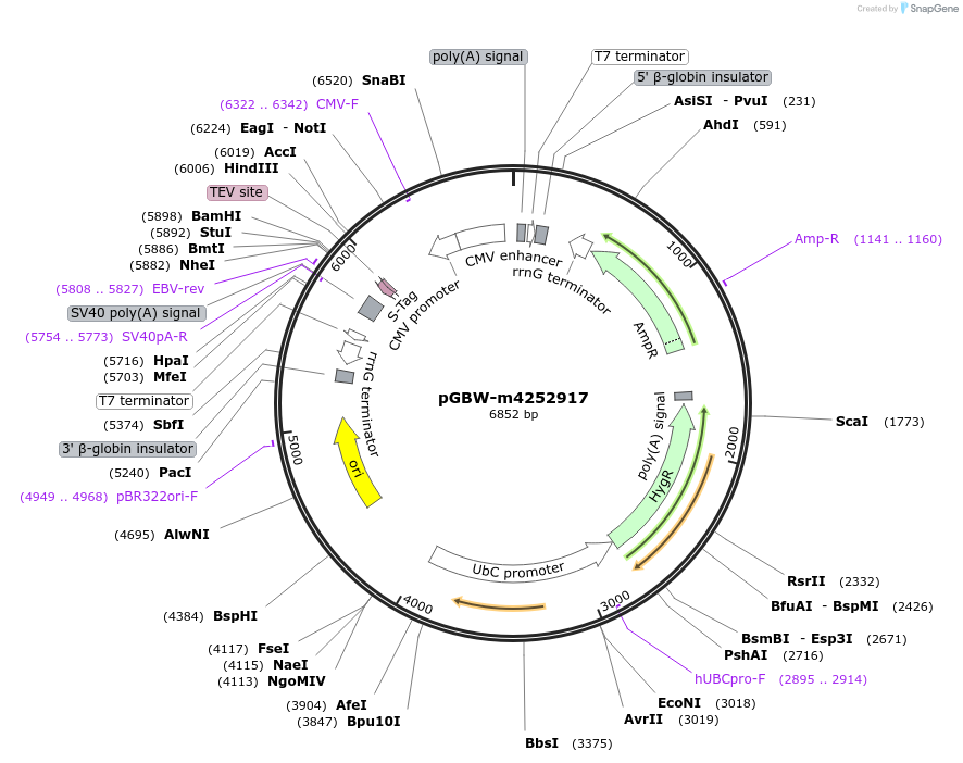 300630_map