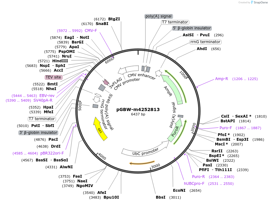 300641_map