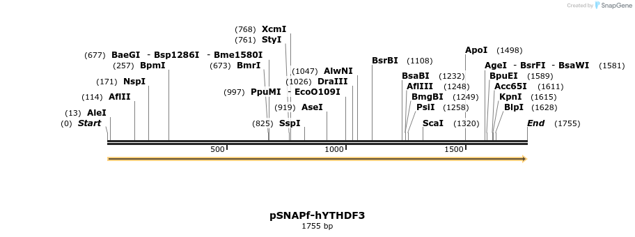 300665_map
