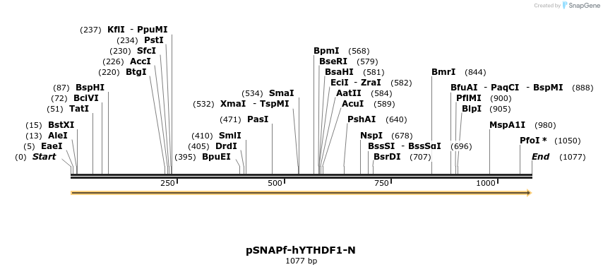 300668_map