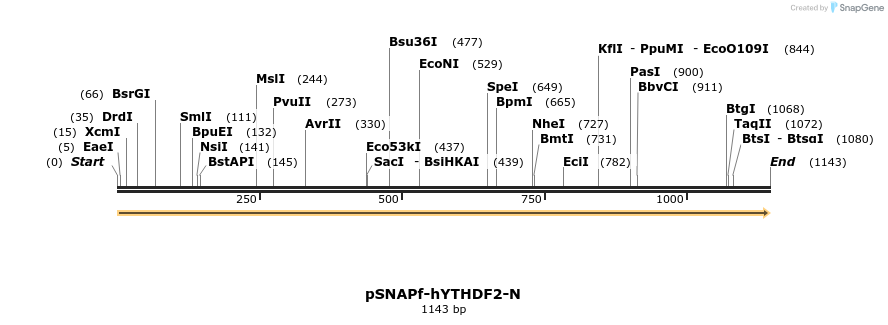 300669_map