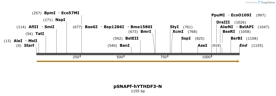 300670_map