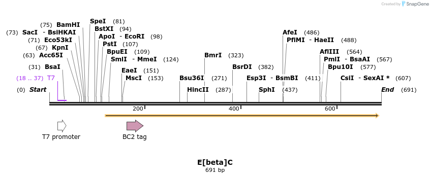 30068_map