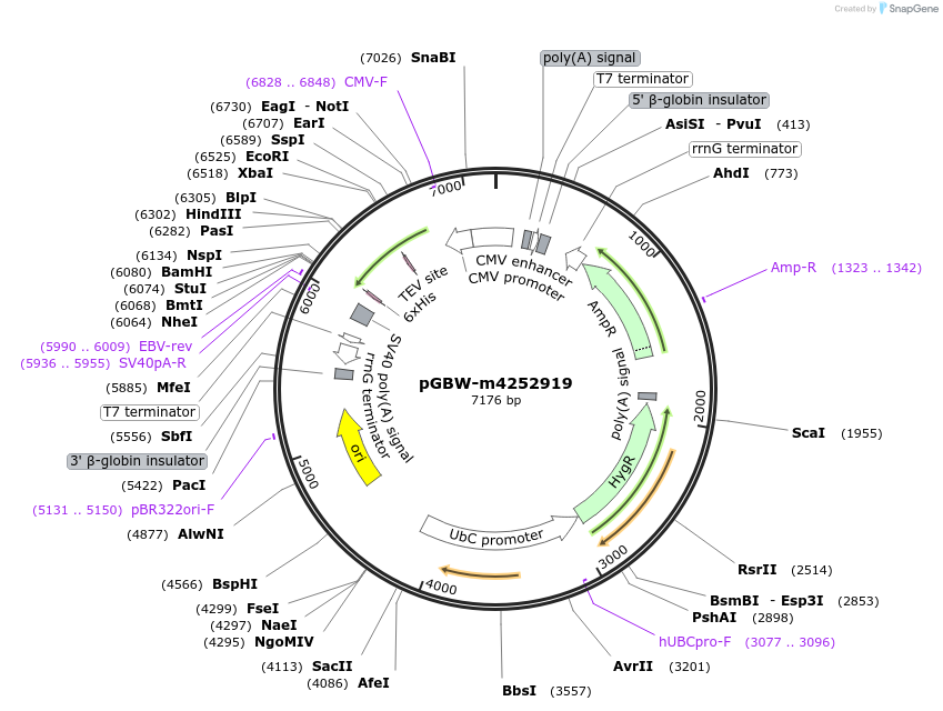 300689_map