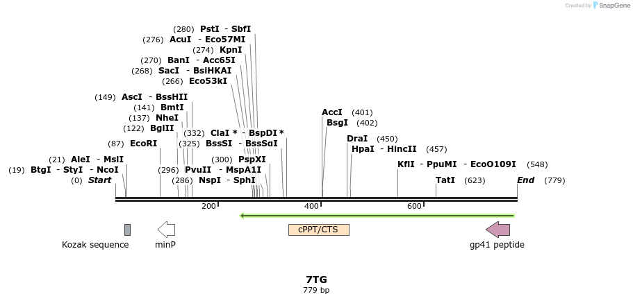 30070_map