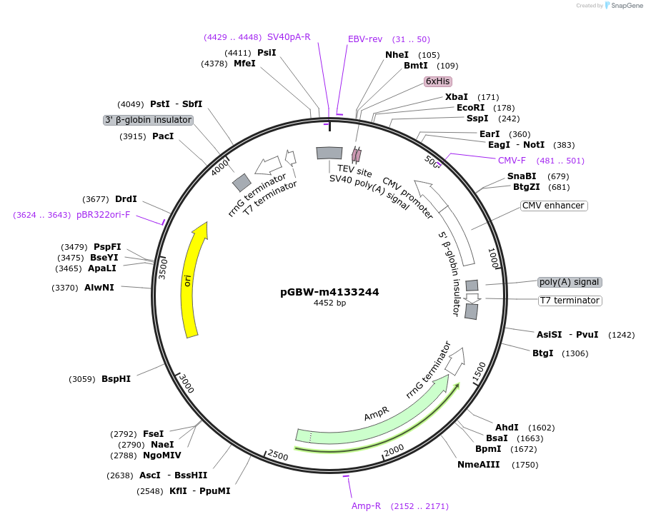 300700_map