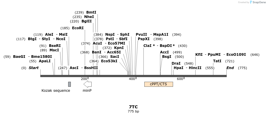 30071_map