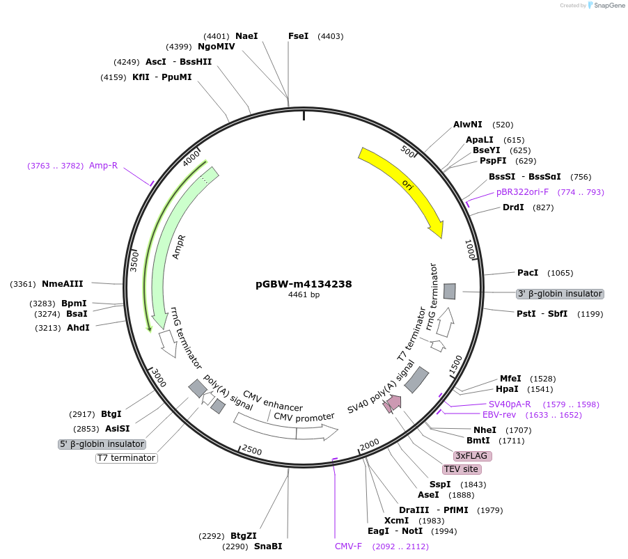 300713_map