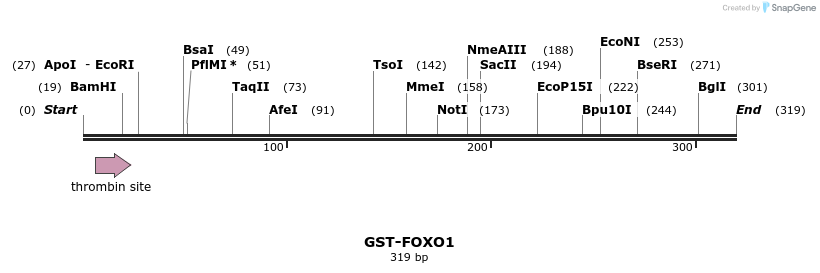 30072_map