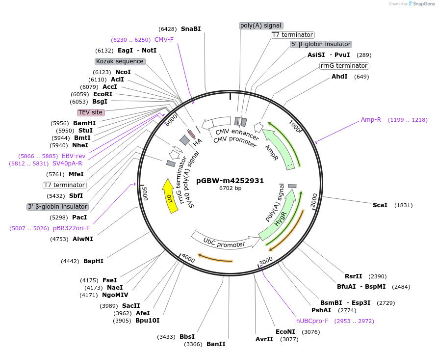 300720_map