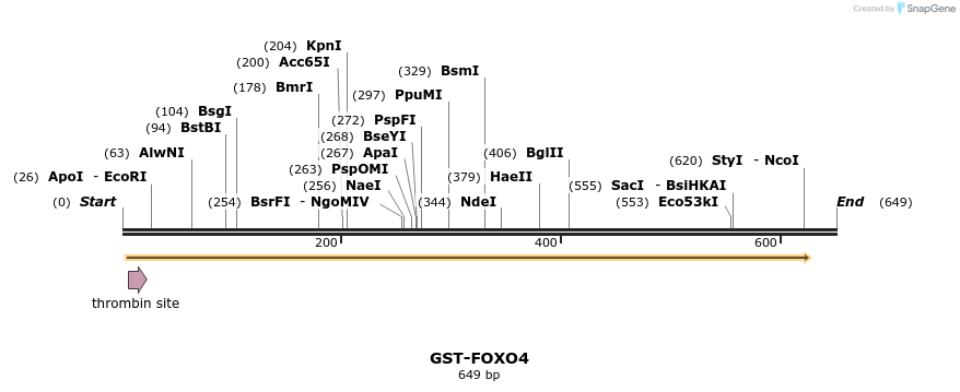 30073_map