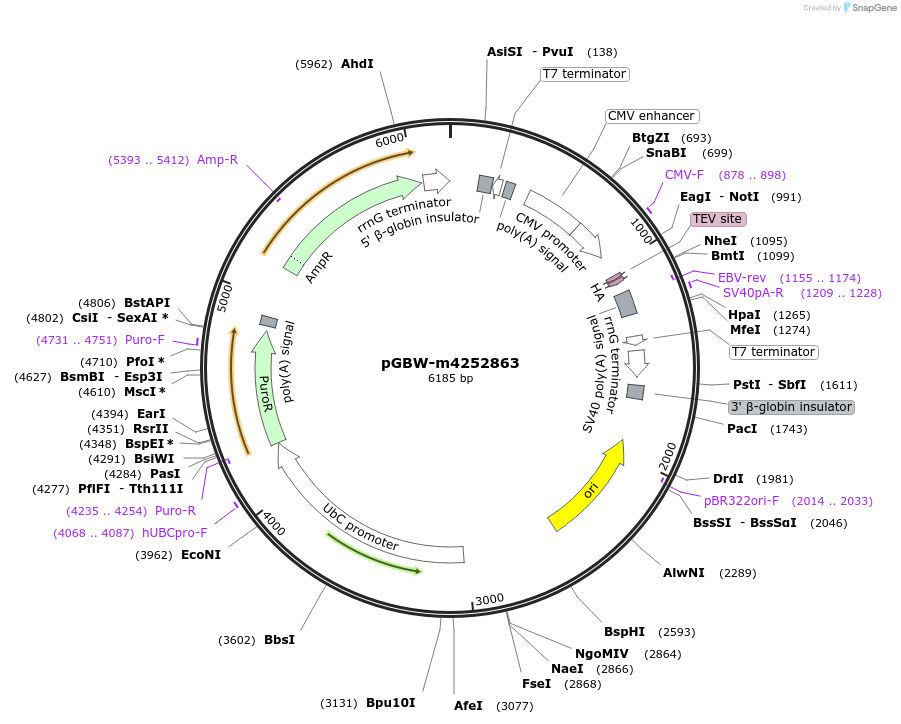 300732_map