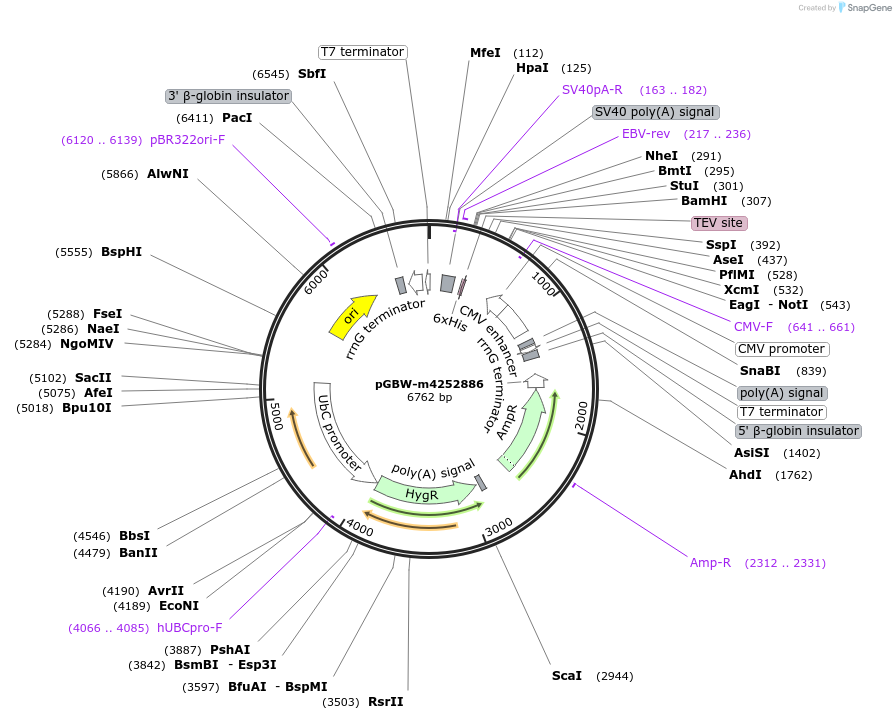 300733_map