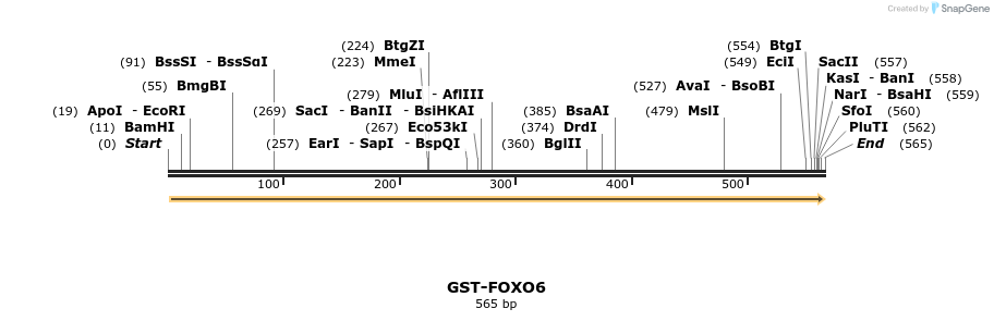 30074_map