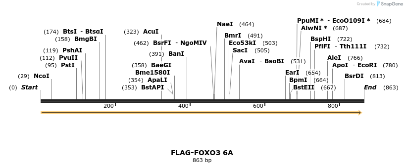 30075_map