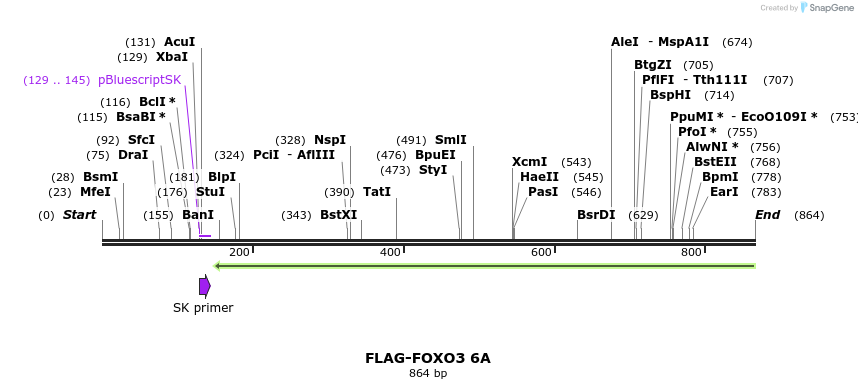 30076_map