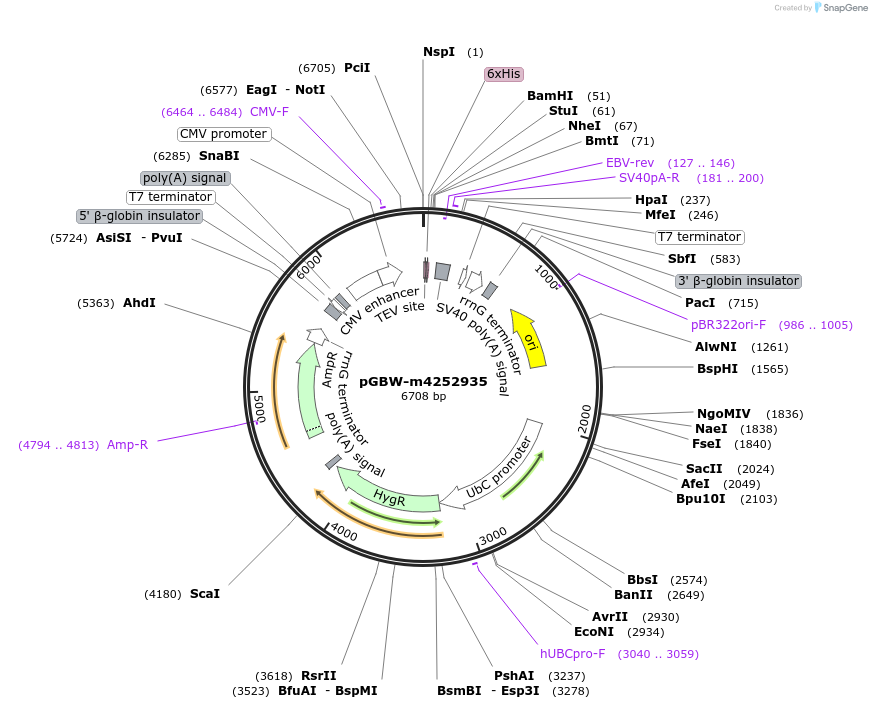 300764_map