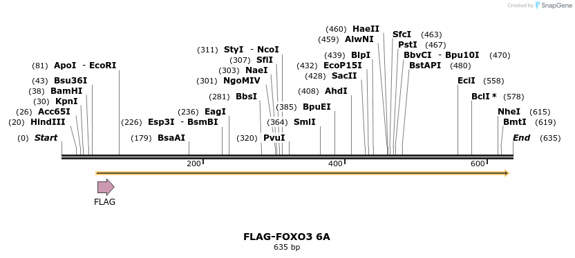 30077_map