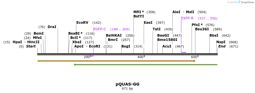 30078_map