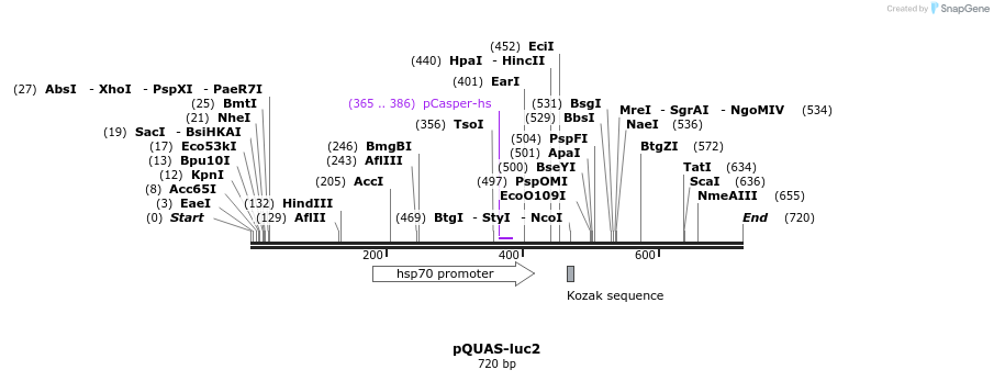 30080_map