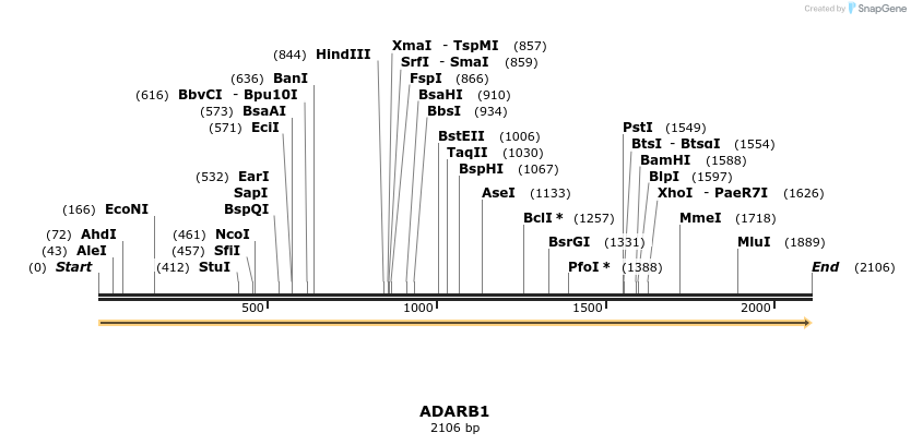 300800_map