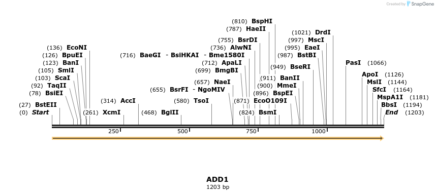 300801_map