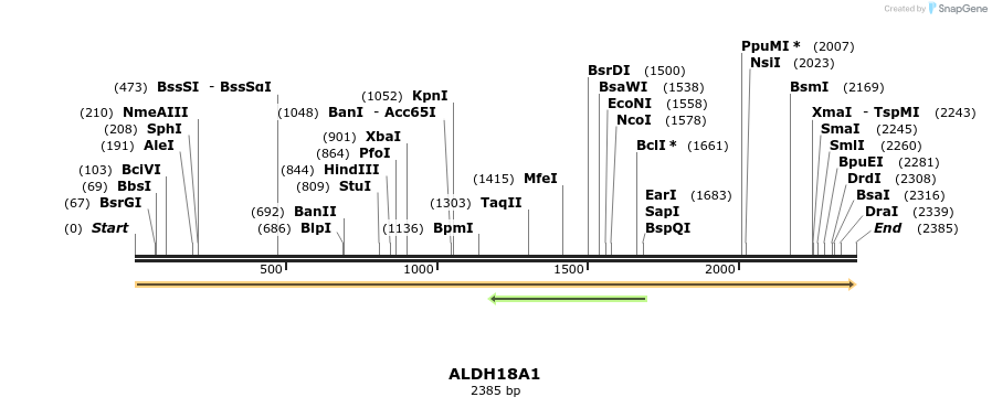 300806_map