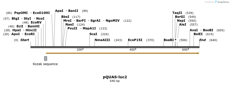 30081_map