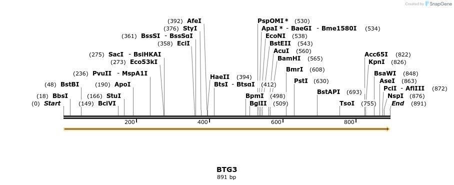 300831_map
