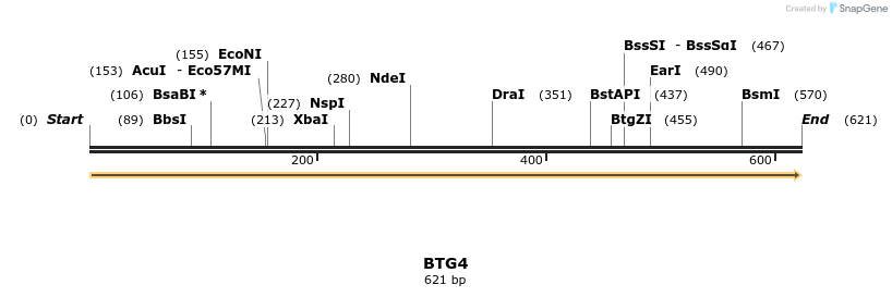 300832_map