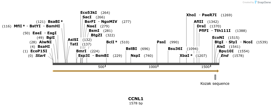 300844_map