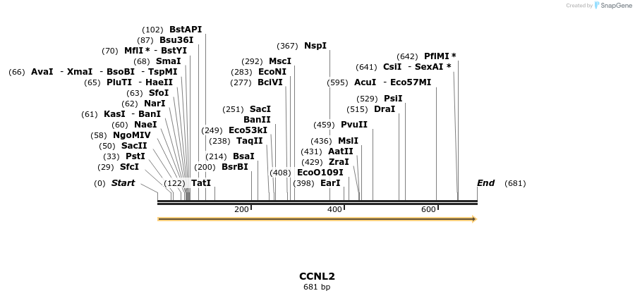 300845_map