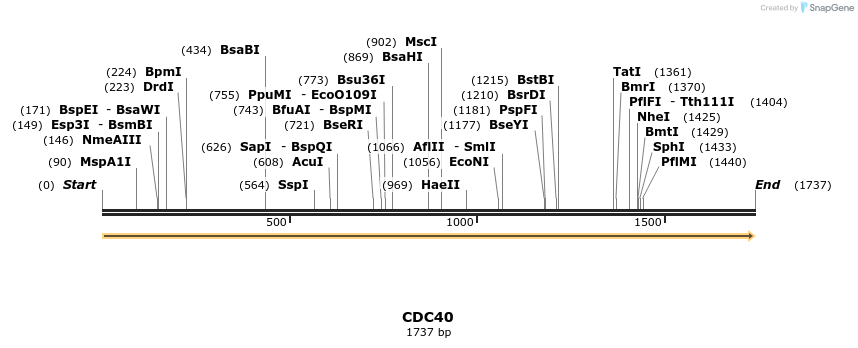300848_map