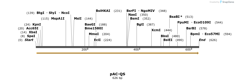 30085_map