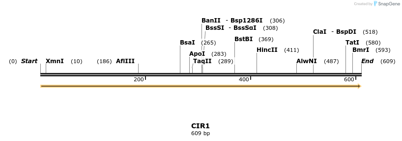 300856_map