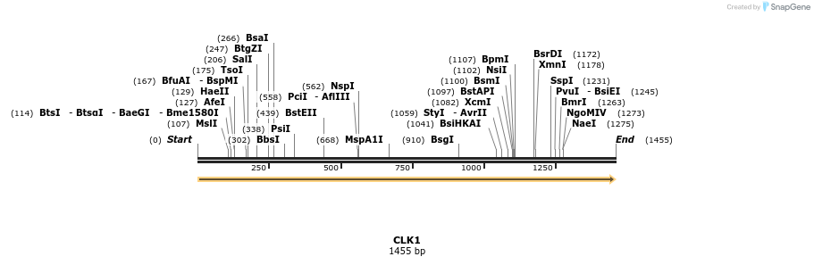 300862_map