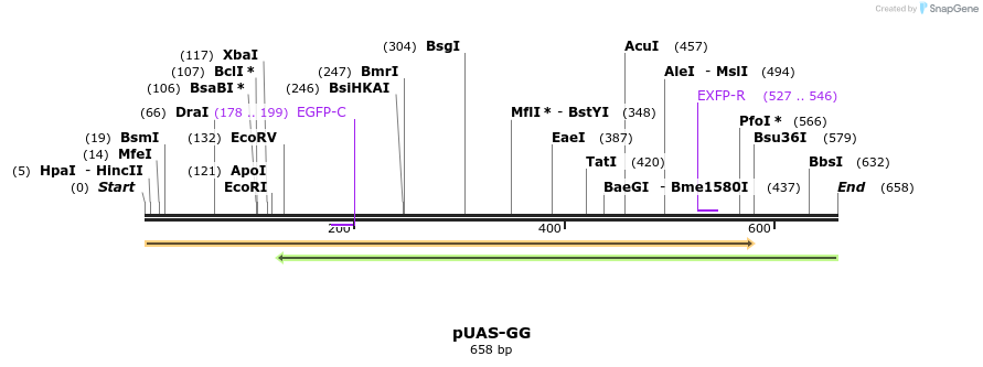 30087_map