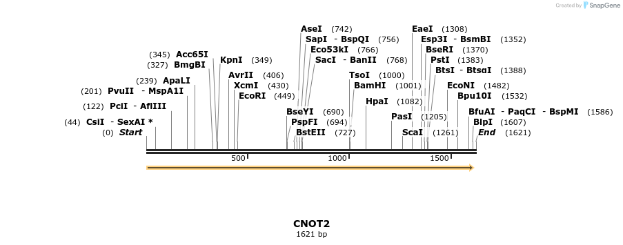 300870_map