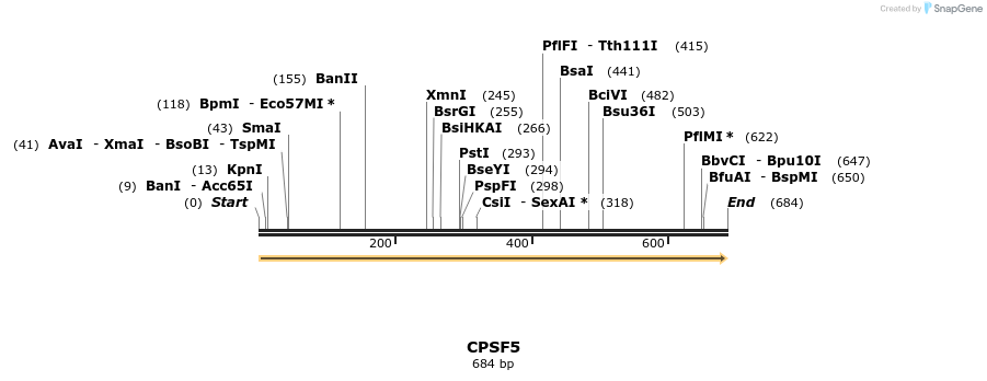 300884_map