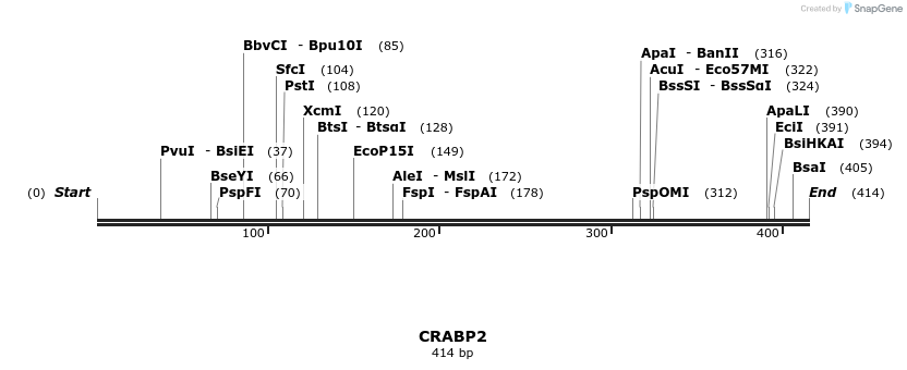 300887_map