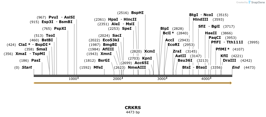300888_map