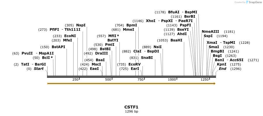 300889_map