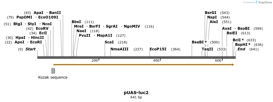 30089_map