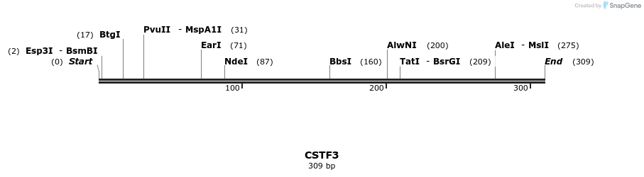 300891_map