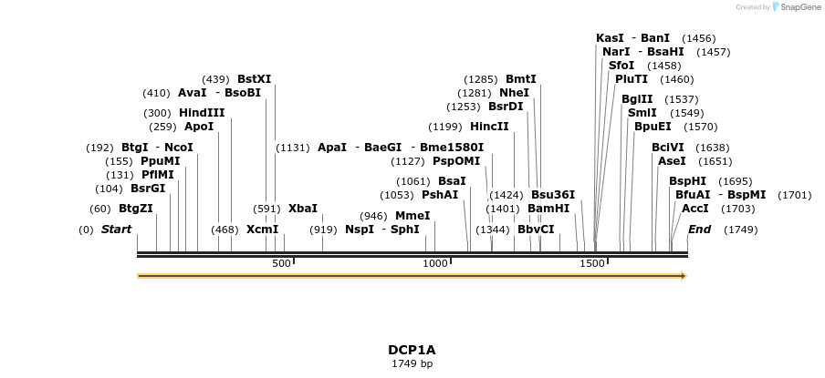 300902_map
